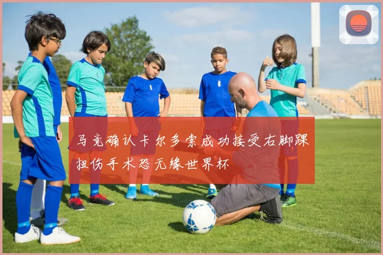 马竞确认卡尔多索成功接受右脚踝扭伤手术恐无缘世界杯